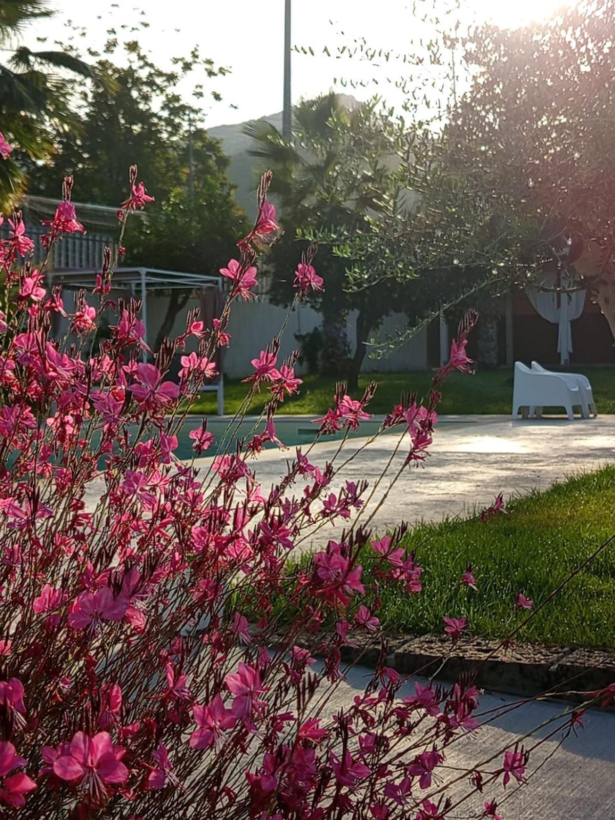 B&B Villa Limao Sarno Dış mekan fotoğraf