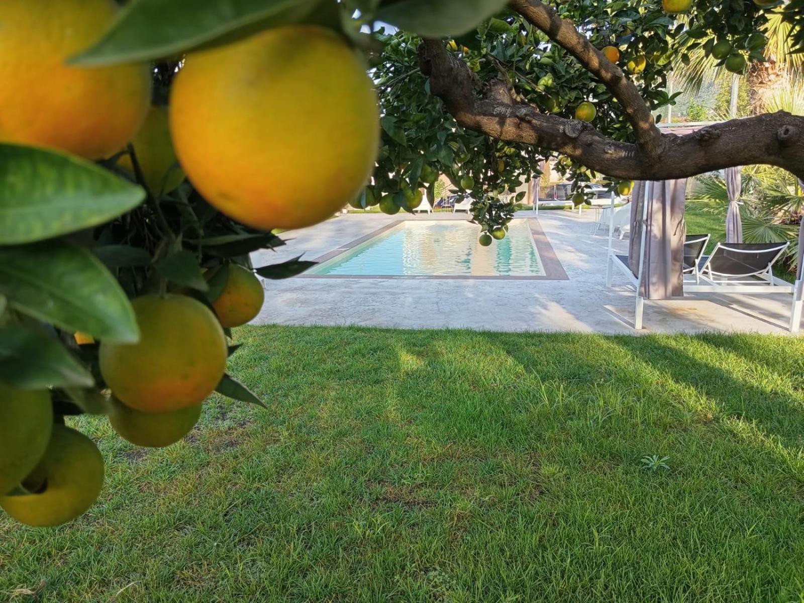 B&B Villa Limao Sarno Dış mekan fotoğraf